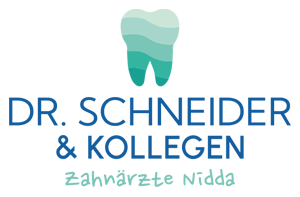 logo_schneider_final_web_v1